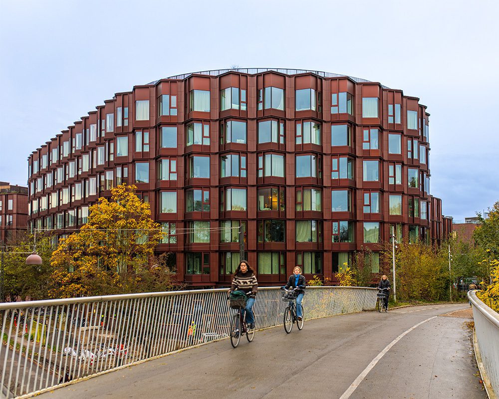 umeus projektersledelse